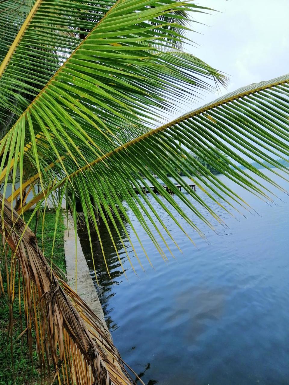 Hikka Lagoon Hikkaduwa Exterior foto