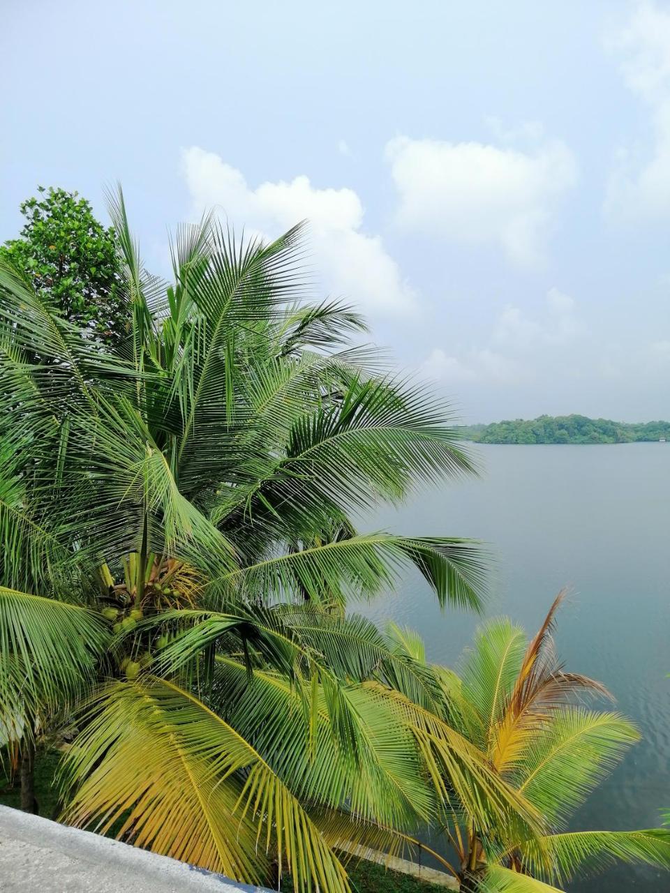 Hikka Lagoon Hikkaduwa Exterior foto